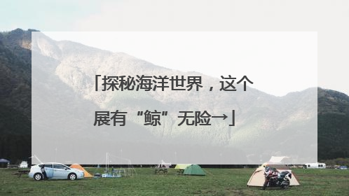 探秘海洋世界，这个展有“鲸”无险→