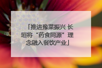 推进豫菜振兴 长垣将“药食同源”理念融入餐饮产业