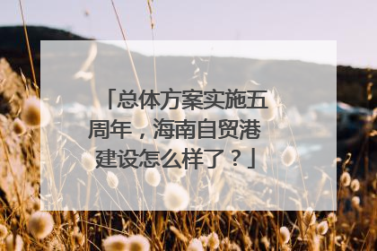 总体方案实施五周年，海南自贸港建设怎么样了？