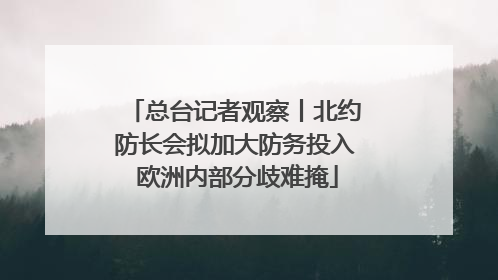 总台记者观察丨北约防长会拟加大防务投入 欧洲内部分歧难掩