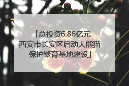总投资6.86亿元 西安市长安区启动大熊猫保护繁育基地建设