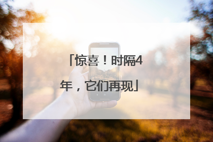 惊喜！时隔4年，它们再现