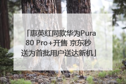 惠英红同款华为Pura 80 Pro+开售 京东秒送为首批用户送达新机