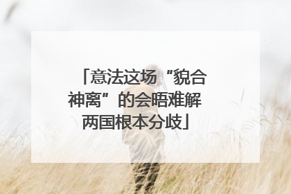 意法这场“貌合神离”的会晤难解两国根本分歧