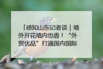 感知山东记者谈｜墙外开花墙内也香！“外贸优品”打通国内国际市场“旋转门”