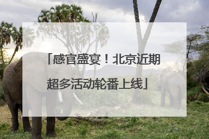 感官盛宴！北京近期超多活动轮番上线