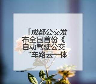 成都公交发布全国首份《自动驾驶公交“车路云一体化”系统联调》白皮书