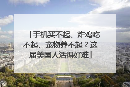 手机买不起、炸鸡吃不起、宠物养不起？这届美国人活得好难