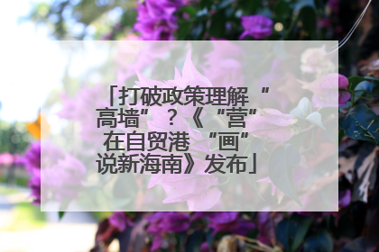 打破政策理解“高墙”？《“营”在自贸港 “画”说新海南》发布