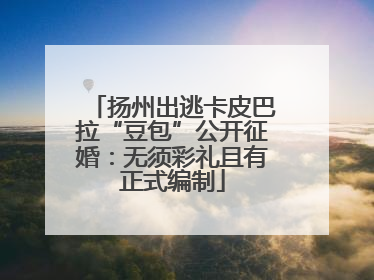 扬州出逃卡皮巴拉“豆包”公开征婚：无须彩礼且有正式编制