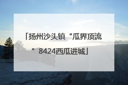 扬州沙头镇“瓜界顶流”8424西瓜进城