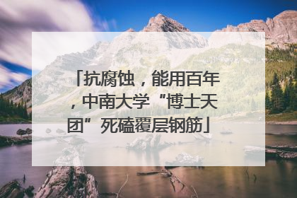 抗腐蚀，能用百年，中南大学“博士天团”死磕覆层钢筋