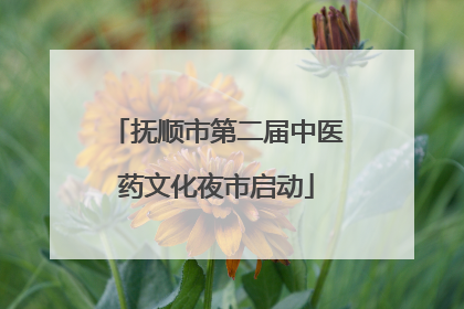 抚顺市第二届中医药文化夜市启动