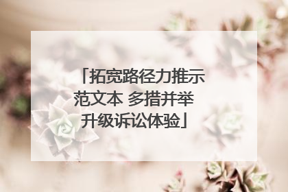 拓宽路径力推示范文本 多措并举升级诉讼体验