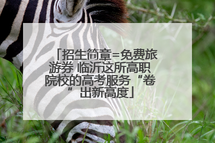 招生简章=免费旅游券 临沂这所高职院校的高考服务“卷”出新高度