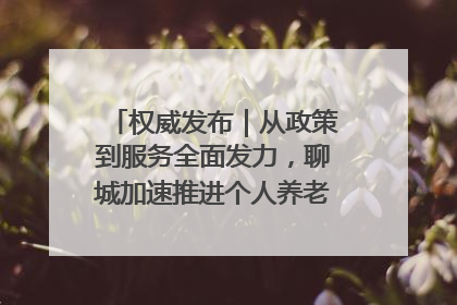 权威发布｜从政策到服务全面发力，聊城加速推进个人养老金制度落地