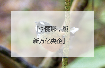 李丽娜，履新万亿央企