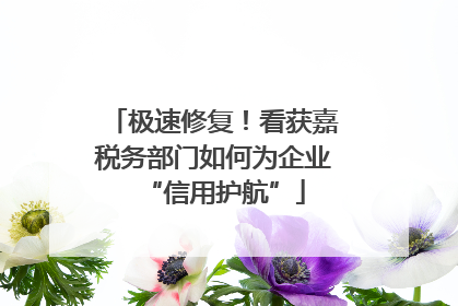 极速修复！看获嘉税务部门如何为企业“信用护航”