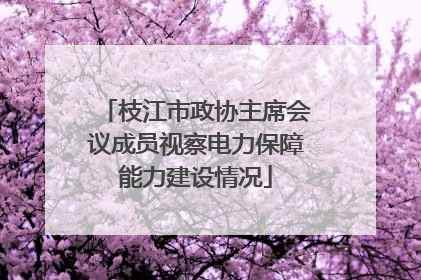 枝江市政协主席会议成员视察电力保障能力建设情况