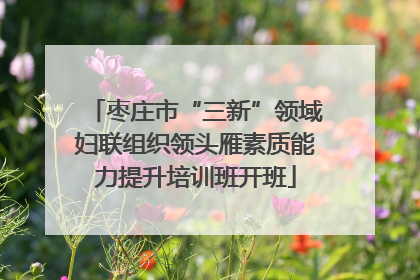 枣庄市“三新”领域妇联组织领头雁素质能力提升培训班开班