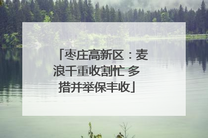枣庄高新区：麦浪千重收割忙 多措并举保丰收