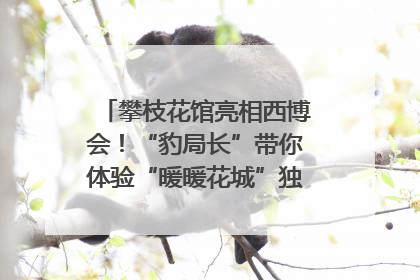 攀枝花馆亮相西博会！“豹局长”带你体验“暖暖花城”独特魅力｜西博视界
