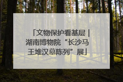 文物保护看基层｜湖南博物院“长沙马王堆汉墓陈列”展