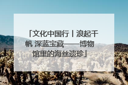 文化中国行丨浪起千帆 深蓝宝藏——博物馆里的海丝遗珍