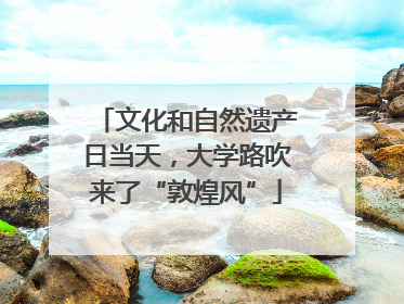 文化和自然遗产日当天，大学路吹来了“敦煌风”