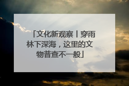 文化新观察丨穿雨林下深海，这里的文物普查不一般