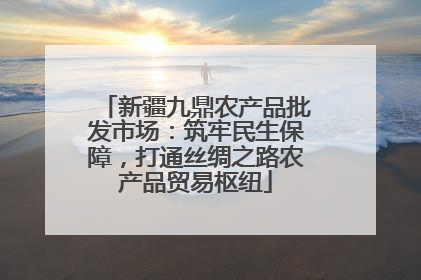 新疆九鼎农产品批发市场：筑牢民生保障，打通丝绸之路农产品贸易枢纽