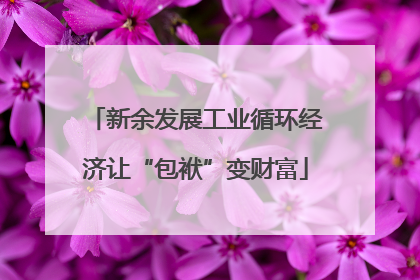 新余发展工业循环经济让“包袱”变财富