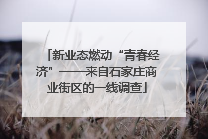 新业态燃动“青春经济”——来自石家庄商业街区的一线调查