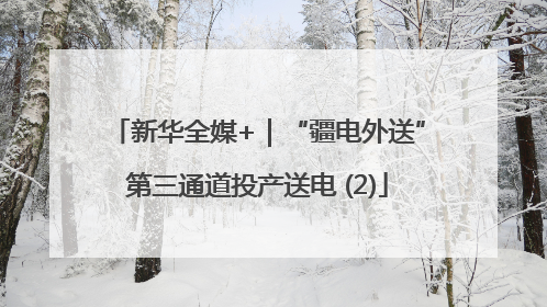 新华全媒+｜“疆电外送”第三通道投产送电 (2)