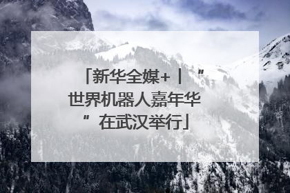 新华全媒+丨“世界机器人嘉年华”在武汉举行