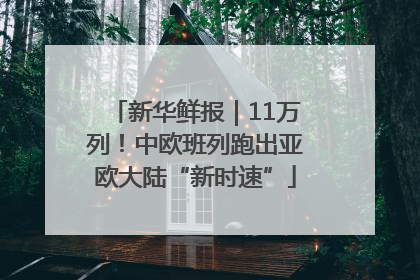 新华鲜报｜11万列！中欧班列跑出亚欧大陆“新时速”