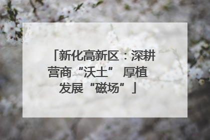 新化高新区：深耕营商“沃土” 厚植发展“磁场”