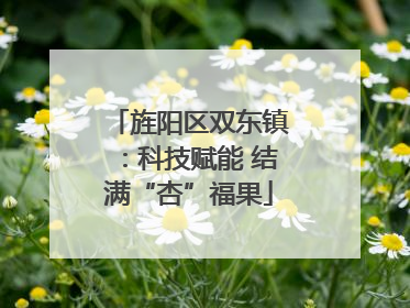 旌阳区双东镇：科技赋能 结满“杏”福果