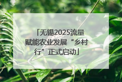 无锡2025流量赋能农业发展“乡村行”正式启动