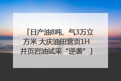 日产油8吨、气3万立方米 大庆油田营页1H井页岩油试采“逆袭”