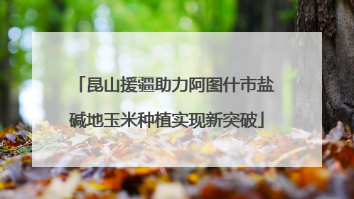昆山援疆助力阿图什市盐碱地玉米种植实现新突破