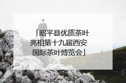 昭平县优质茶叶亮相第十九届西安国际茶叶博览会