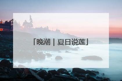 晚潮｜夏日说莲