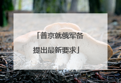普京就俄军备提出最新要求