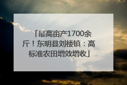 最高亩产1700余斤！东明县刘楼镇：高标准农田增效增收