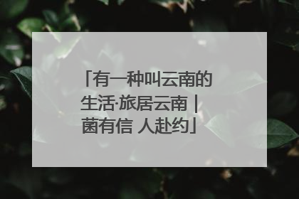 有一种叫云南的生活·旅居云南｜菌有信 人赴约