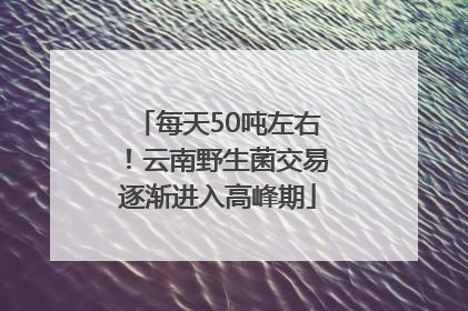 每天50吨左右！云南野生菌交易逐渐进入高峰期