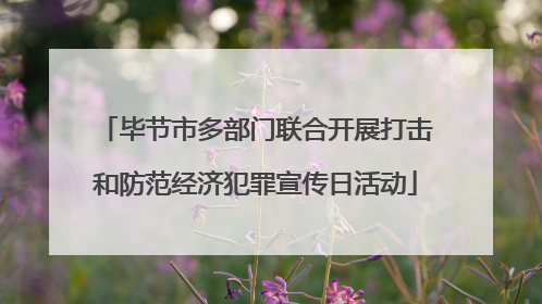 毕节市多部门联合开展打击和防范经济犯罪宣传日活动