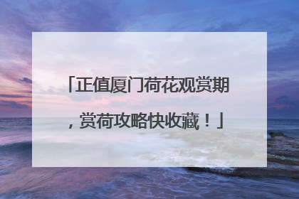 正值厦门荷花观赏期，赏荷攻略快收藏！