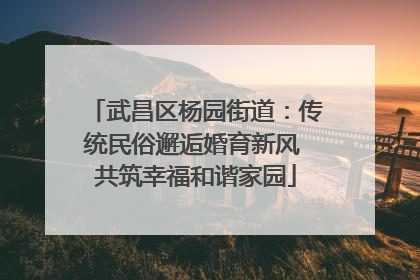 武昌区杨园街道：传统民俗邂逅婚育新风 共筑幸福和谐家园